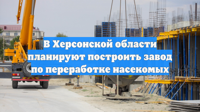 В Херсонской области планируют построить завод по переработке насекомых