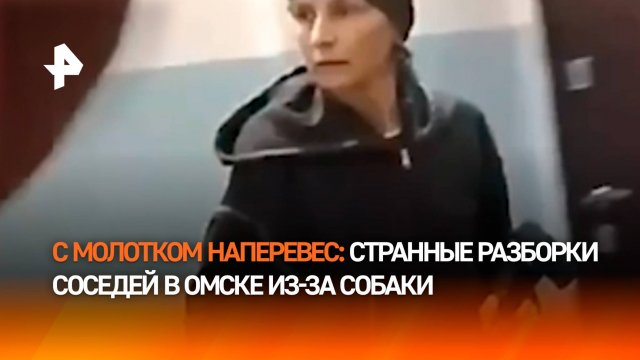 Угрожала отверткой и молотком из-за собаки без намордника — соседские разборки в Омске
