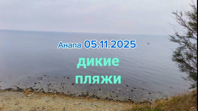 Анапа 05.11.2025 дикие пляжи
