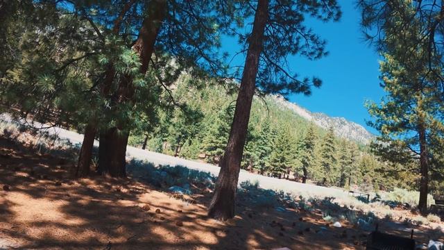 РАБОТА ДОСТАЛА — просто сел и уехал отдыхать