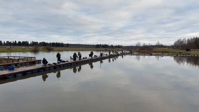 Запуск форели в акваторию !!!