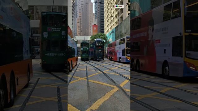 Гонконг.shorts