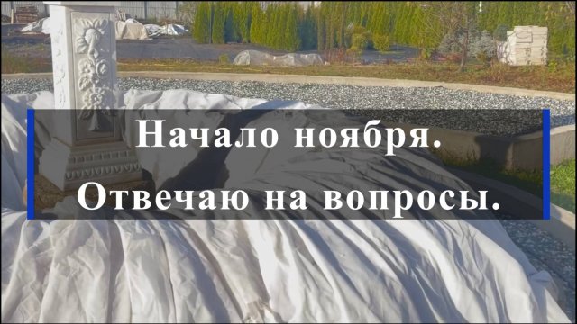 Начало ноября.Отвечаю на вопросы.