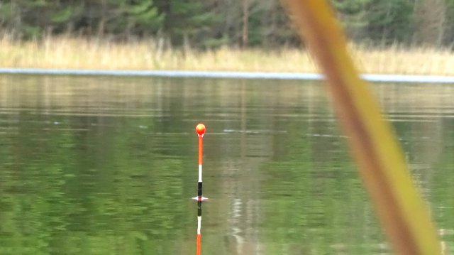 Рыбалка 4 ноября на карася на поплавок! Клюёт ли карась в  ноябре на дальнем пруду...