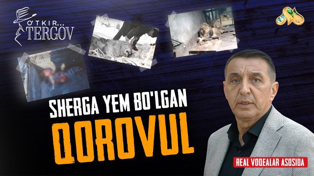 Sherga yem bo’lgan qorovul... O'tkir tergov
