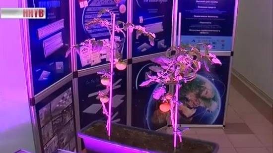 Инновационные технологии в сельхозпроизводстве