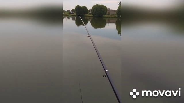 Вот это рыбалка/ Клевое место на пруду.