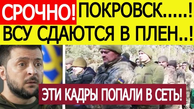 Покровск. Зеленский в ужасе! Началась массовая сдача в плен солдат ВСУ. Новости сегодня 05.11.2025