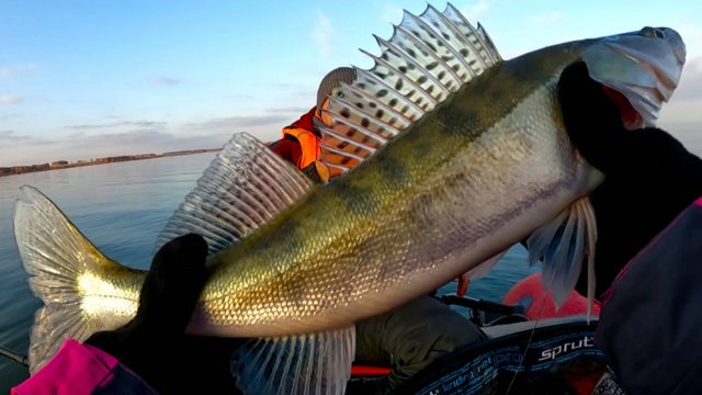 Вчера вышли на ПЕРВЫЙ ЛЁД сегодня ДУБАСИМ СУДАКОВ на СПИННИНГ! ОПЕРАТОР меня УДЕЛАЛА! ТАКТИКА НЫТЬЁ
