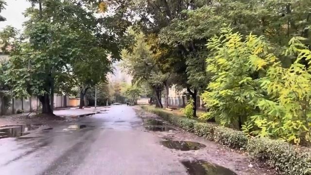 ОДЕССА 5 НОЯБРЯ 2025. УКРАИНА ПОБЕЖДАЕТ! СИТУАЦИЯ В ПОКРОВСКЕ. РФ ПОСТАВИТ ОРЕШНИК В ВЕНЕСУЭЛУ! (480