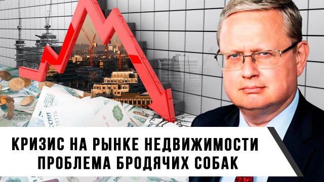 Михаил Делягин | Кризис на рынке недвижимости. Проблема бродячих собак