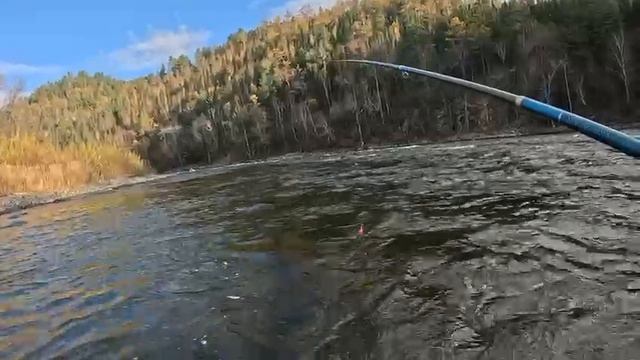 ловим вместе