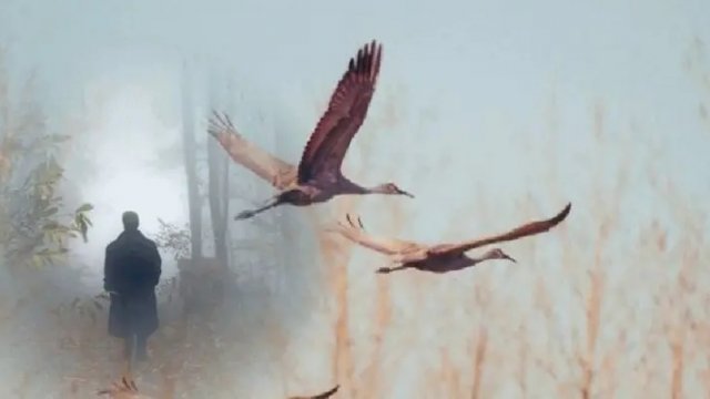 С кем Он сейчас общается 🤔 с кем встречается и с какой целью 💥
#таро#расклад#гадание