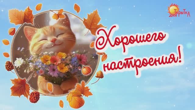 Пожелание хорошего настроения \ открытка доброе утро \ хорошего дня