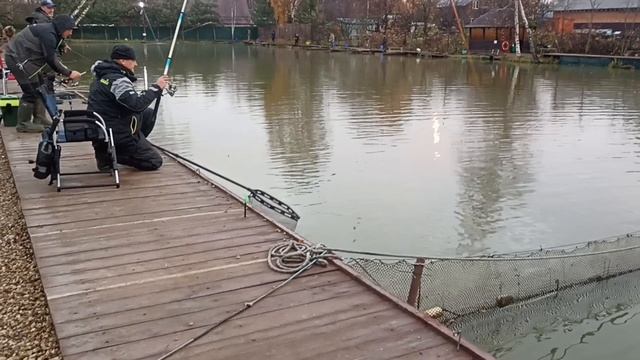 до запуска 2