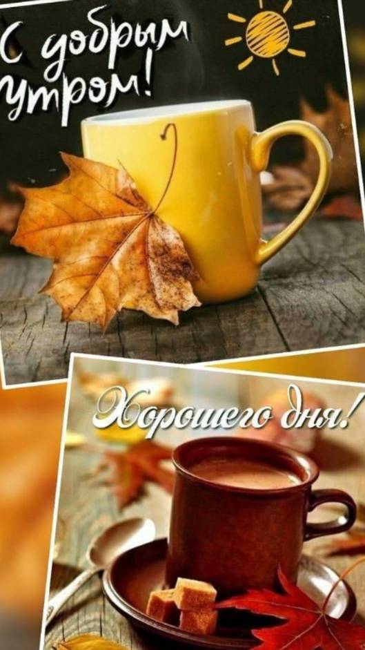 Доброе утро - Пусть весь день будет светлым и радостным!