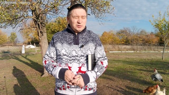 Как Ианний и Иамврий