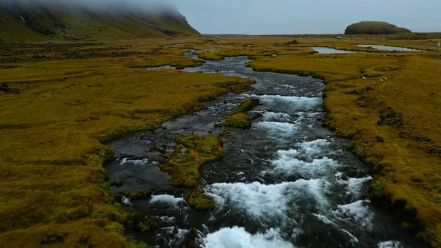 Дикая природа 4К 8К Full HD ультра (Wildlife 4K 8K Full HD Ultra)