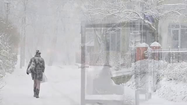 МЕТЕЛИЦА ПОЁТЗимняя красивая песня о любви Путешествие в мир воспоминаний песни2025 песня
