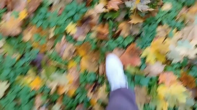 #золотая осень