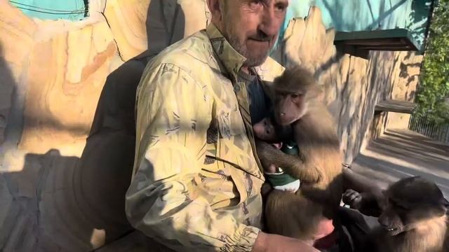 Это НАДО ВИДЕТЬ! Люся настолько любит маленькую Анфису, что нам пришлось даже убрать Степу от них)