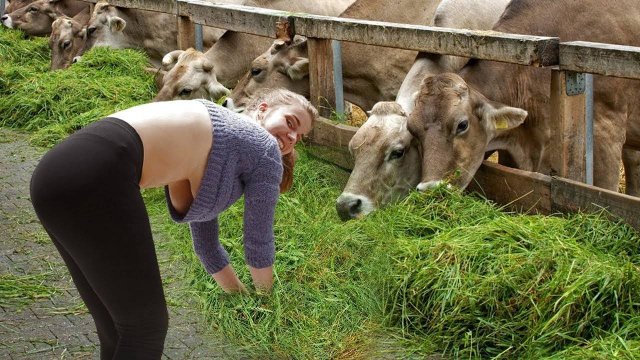 ✅ ПРИКОЛЫ С ЖИВОТНЫМИ — ЛУЧШЕЕ ЗА 2025 ГОД! 🐾😂