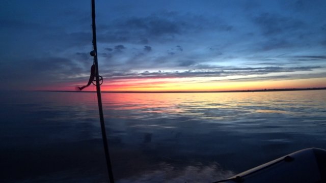 лютый жор судака🎣 на одной проводке 3 поклевки нашел на 2 метрах вот это выход такое впервые #судак