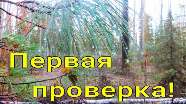 Отпустило снег сошёл первая проверка путика с КА-2У предсказуемо белки кедровки соболя не подходил