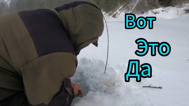 ЗАГНУЛО ПРУТИК. ПРОВЕРКА. ОДИН В ЛЕСУ.