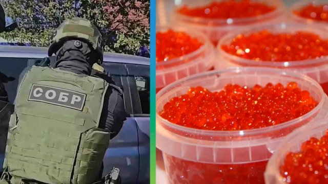 Незаконный оборот красной икры пресекли сотрудники МВД в ходе проверочной закупки на Камчатке