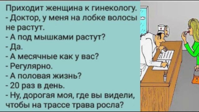 Только юмор! )