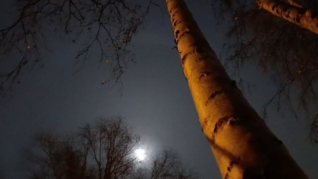 ЧУВСТВЕННОЕ ПОЛНОЛУНИЕ