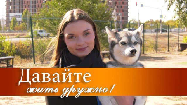 Пушистый Чемпион мира, хвостатики с непростой судьбой и канадские волки в «Дино»