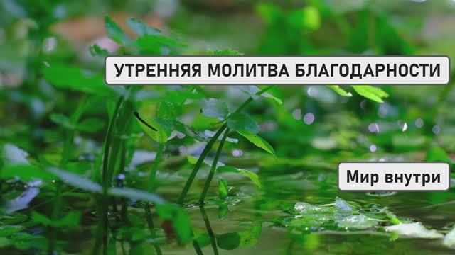 🌅 УТРЕННЯЯ МОЛИТВА БЛАГОДАРНОСТИ | Начни Новый День с Чувством Благодарности и Света!