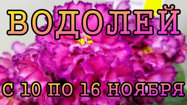 ВОДОЛЕЙ таро прогноз на неделю с 10 по 16 НОЯБРЯ 2025 года.