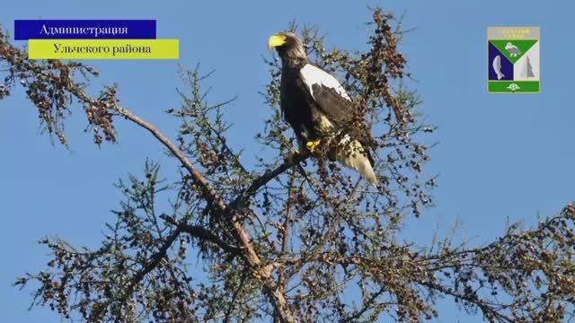 Ульчский муниципальный район Хабаровский край