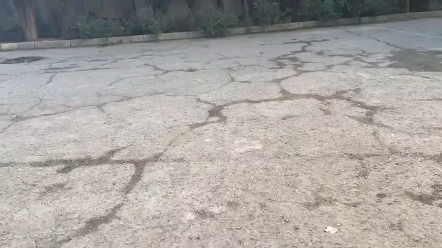 Алушта  Санаторий Славутич , столовая и экскурсии