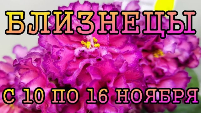 БЛИЗНЕЦЫ таро прогноз на неделю с 10 по 16 НОЯБРЯ 2025 года.