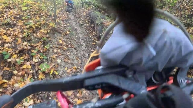 Безумка 2025 (бронза)