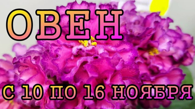 ОВЕН таро прогноз на неделю с 10 по 16 НОЯБРЯ 2025 года.