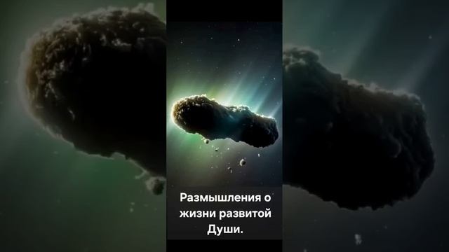 Размышления о жизни развитой Души. (07.11.25)