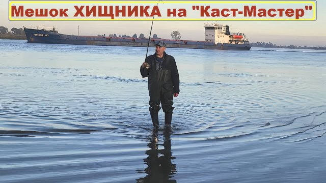 ⚡️Злых Судаков и Жерехов наловили мешок🔥 рыбалка на КАСТМАСТЕР на Волге Осенью 2025 !!