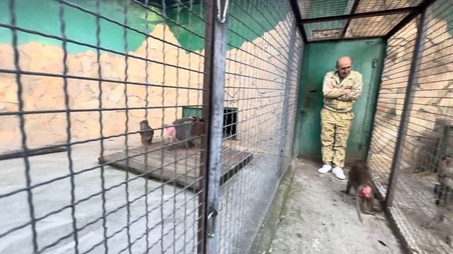 Люся снова пришла к Елисею, но что-то пошло не так, ее схема перестала работать)