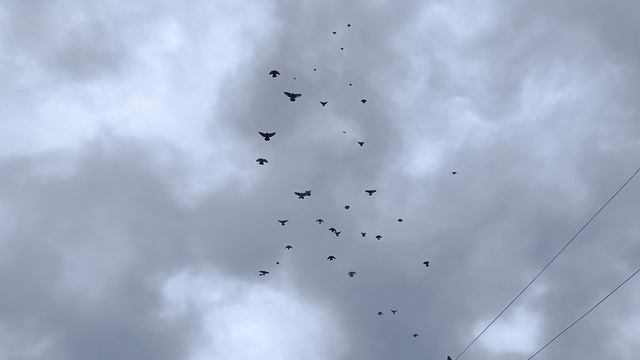 липецкая область Семёновка