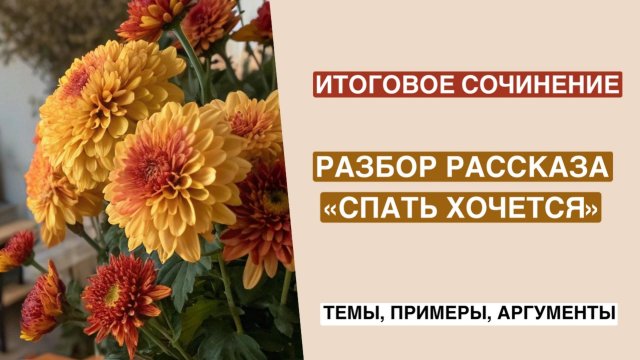 АРГУМЕНТЫ для итогового сочинения | рассказ А.П. Чехова «Спать хочется»
