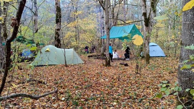 По следам золотой осени