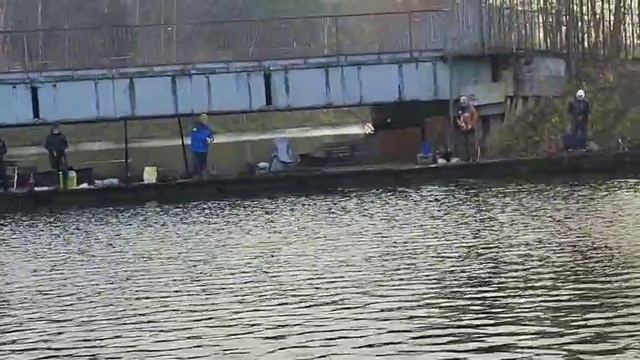 Спортзона.Дуплет