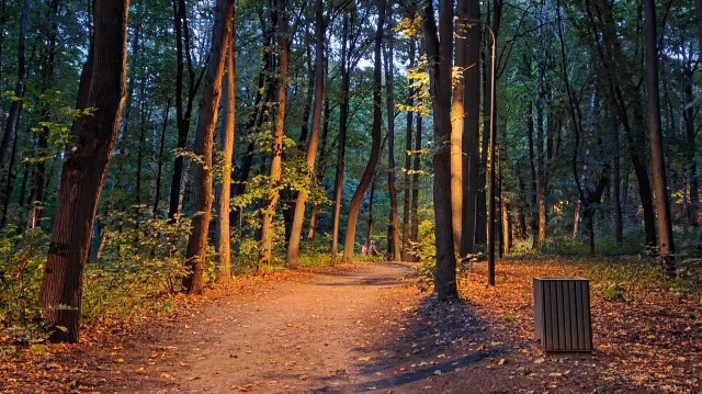 Нескучный сад. Осень 2025 г.