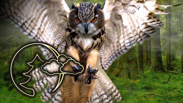 Релакс музыка, Романтическая КРАСИВАЯ РАССЛАБЛЯЮЩАЯ, ДЛЯ СПОКОЙСТВИЯ И СНА, Relax music