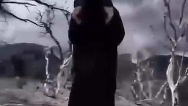 1000017406.mp4пис